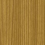 Горная сосна 3069041.jpg